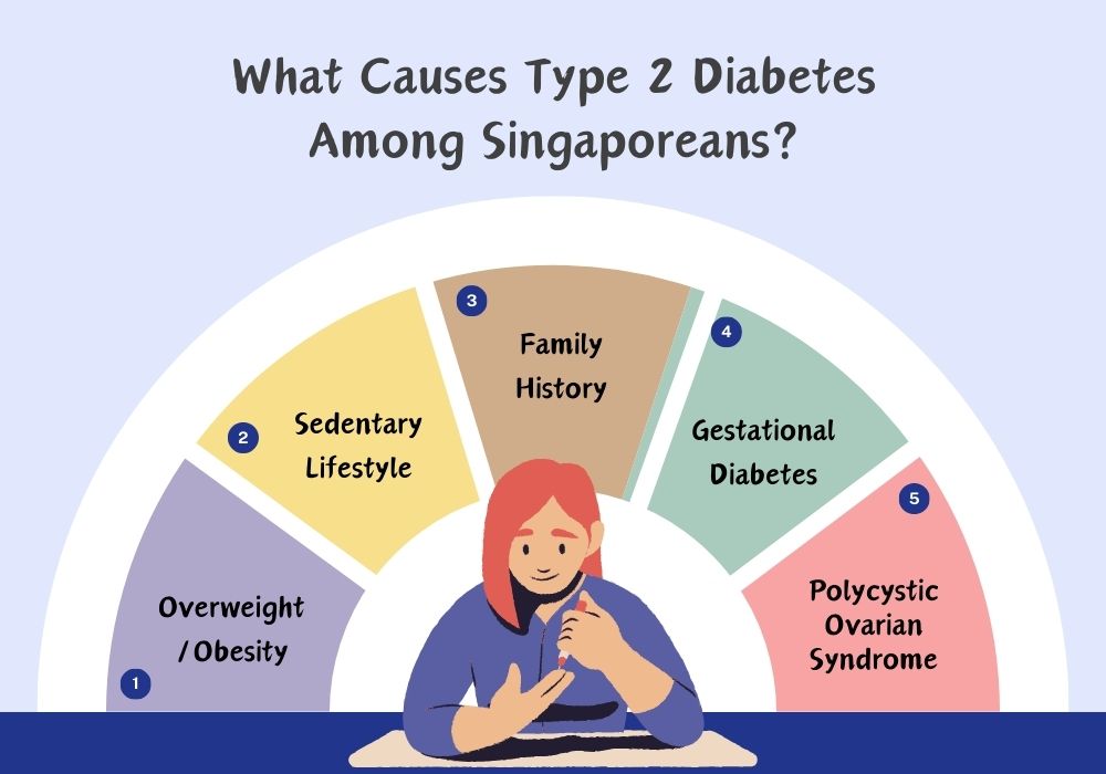Causes of Type 2 Diabetes