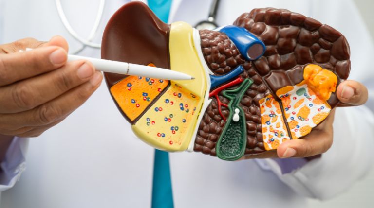 liver cleansing programs